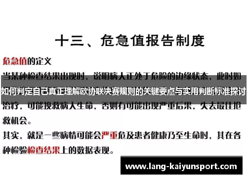 如何判定自己真正理解欧协联决赛规则的关键要点与实用判断标准探讨 如何判定自己真正理解欧协联决赛规则的关键要点与实用判断标准探讨